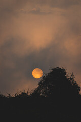 sunset in the sky