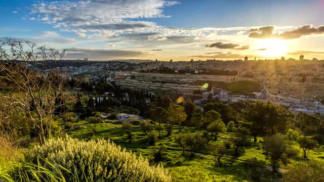 Dramatic sunset time lapse of Jerusalem's Old City, view from the Mount of Olives over the Dome of the Rock and the Temple Mount, with an olive grove in the foreground; Jerusalem Israel