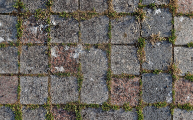 Moss and tufts of grass growing between small square granite blocks
