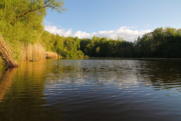 Fototapeta na wymiar Small lake in the nature