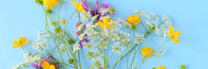 Bouquet of wild flowers on blue background