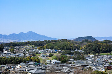 奈良県明日香村の梅林