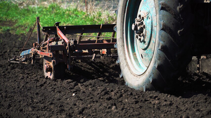 The tractor cultivates and cuts furrows in the field. Tractor work in the black soil field in the...