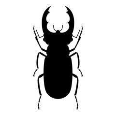 Silhouette of a stag beetle on a white background. Vector illustration.