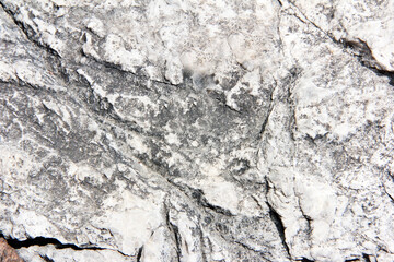 texture of grey stone with veins and patches of