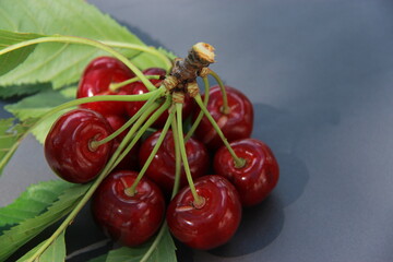 Le temps des cerises