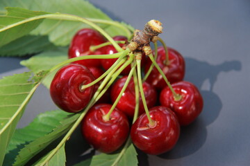 Le temps des cerises
