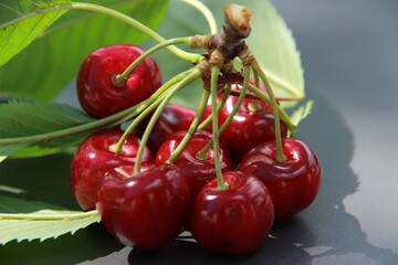 Le temps des cerises