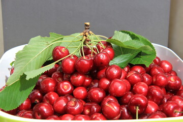 Le temps des cerises