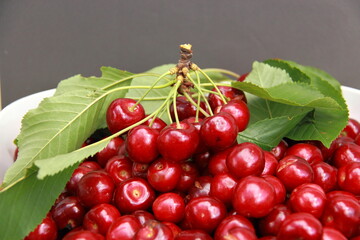 Le temps des cerises
