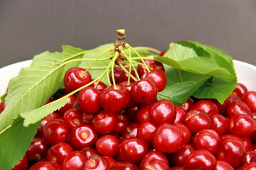 Le temps des cerises