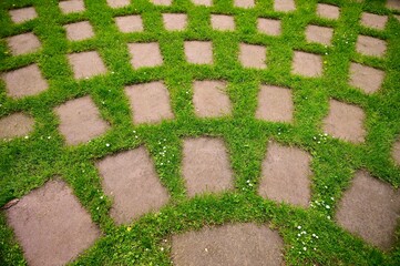 Gray stone background with green grass. 
