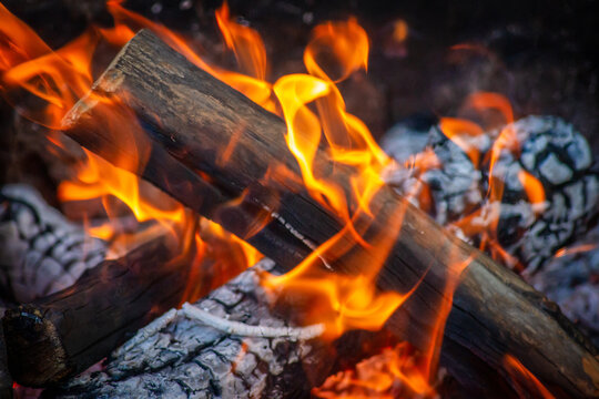 Bonfire. Burning wood.