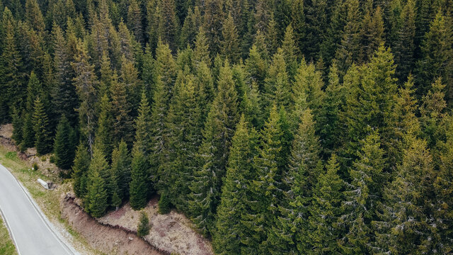 Aerial view over forest and lake in Bucegi Mountains, Romania.