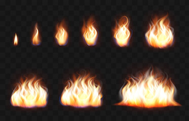 Realistic 3d Detailed Fire Flames Set. Vector