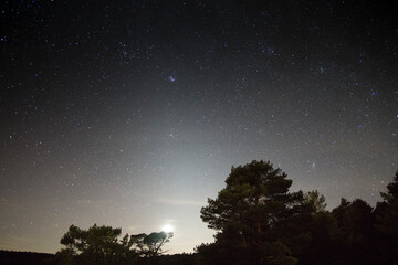 Fototapeta premium Stars and pines Gudar mountains Teruel Aragon Spain