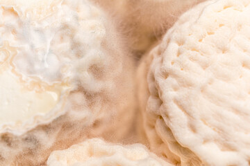 French cheese Goat Croutting. Healthy food. Natural product. High quality photo.