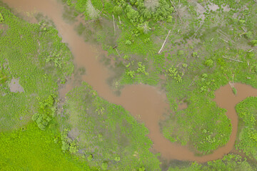 Aerial high angle view of swamp between green plants, Moscow area, Russia