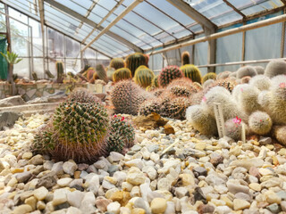 Flora Olomouc, czech - exhibition of plants in greenhouse