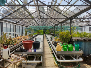 Flora Olomouc, czech - exhibition of plants in greenhouse