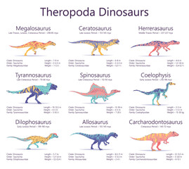 Theropoda dinosaurs. Colorful vector illustration of dinosaurs isolated on white background. Set of ancient creatures with information of size, weigh, classification and period of living. Predators.