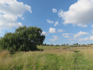 Fototapeta na wymiar Winter farm landscape grass fields and a bright blue sky