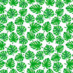 Tropic monstera palm leaves pattern. Seamless exotic pattern with tropical monstera leaves .