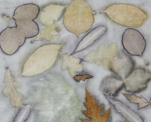 Fragment of hand-dyed fabric using eco-print technique