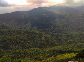 Rainforest view from the mountain