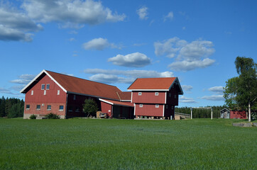 Obraz premium Railway travel in Norway.Views in the train. Flamsban. The Bergen - Oslo train. Norway