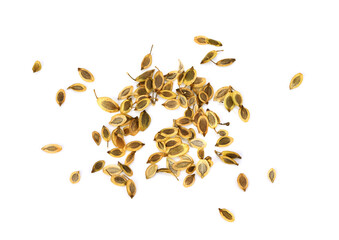 Dill seeds isolated on a white background. Macro