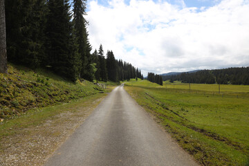 Fototapeta na wymiar A road in the Jura in Switzerland