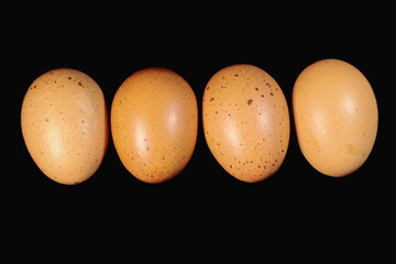Chicken eggs on black background