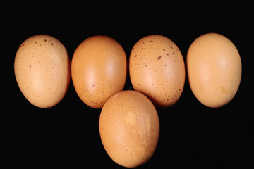 Chicken eggs on black background