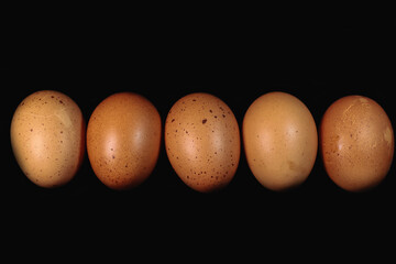Chicken eggs on black background
