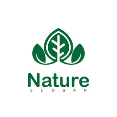 Nature Logo Design Natural Vector