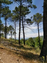 Sendero en lamontañña