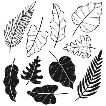 Tropical jungle leaf vector cartoon black silhouettes set isolated on a white background.