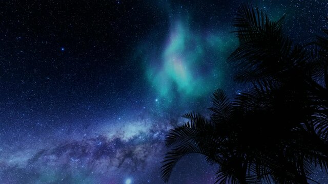 Blue stars leaf palm tree in real style. Night scene. Summer tropical leaf. 4k