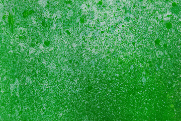 Fototapeta premium abstract oil paint texture on canvas, background