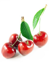 Ciliegie su sfondo bianco