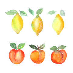 Watercolor peach and lemon set. Vector