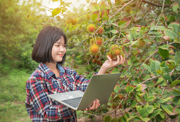 Asian woman checking report organic fruit
