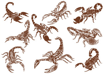 Image of Graphical vintage set of scorpions ,vector illustration for tattoo ,design and printing printed on Printed Glass Splashbacks