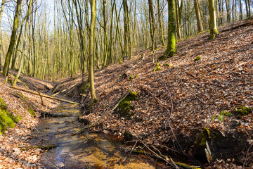 Ablauf des Sees an der Barbarossaquelle im Vorspessart Main-Kinzig-Kreis / Hessen