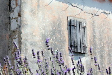 Lavander and old house - scent of pastel shades