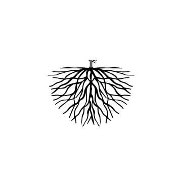 illustration of letter r on root logo vector