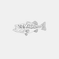 Image bass fish