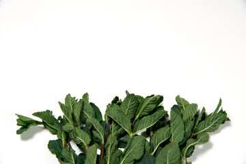 Composition of fresh mint leaves isolated on a white background. Top view. Copy space