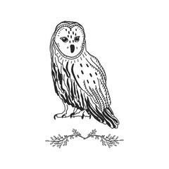 Owl Graphic Black White. forest bird drawn by hand. suitable for tattoos or design of postcards and posters, fabrics and applying to a mug.